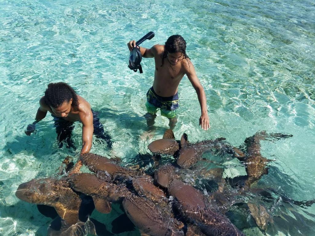 Tropical Paradise Caye Caulker Zewnętrze zdjęcie